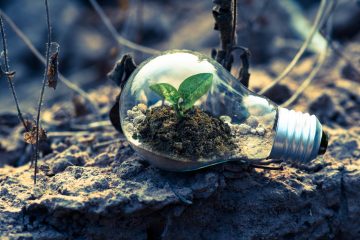 Empresas sustentáveis no Brasil: quem está fazendo a diferença?